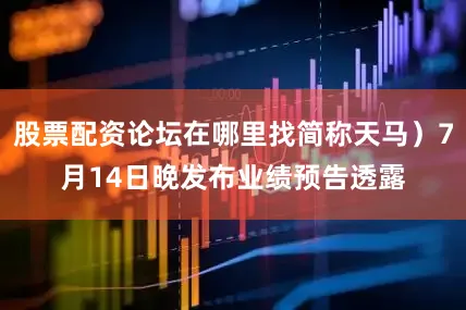 股票配资论坛在哪里找简称天马）7月14日晚发布业绩预告透露